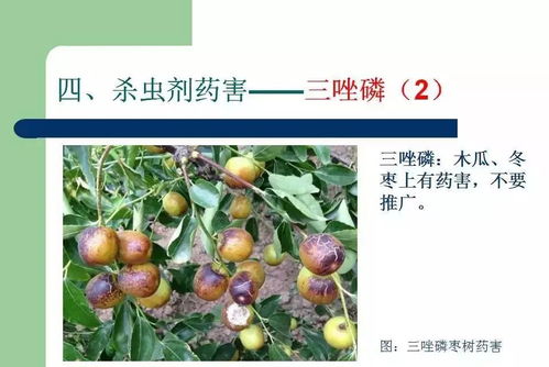 正确的配比是关键