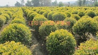 优惠活动， 你值得拥有