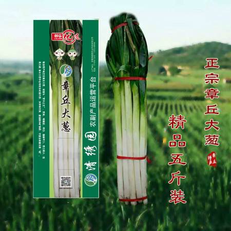 乙草胺——神奇的大葱守护者？