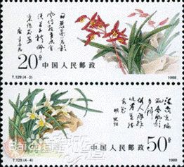 “请问有哪些名贵兰花品种属于十大名贵兰花鉴赏指南中的