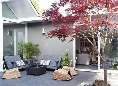 庭院种树，第一步是选树！