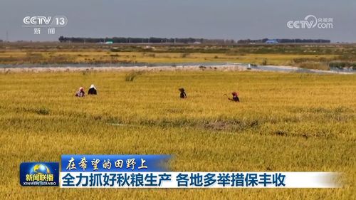 施肥，不嫩少了这一步