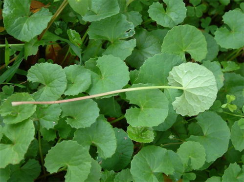 线上采购三大暗雷：教你省下3000冤枉钱