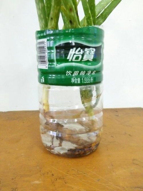 米兰：北方的温暖之家