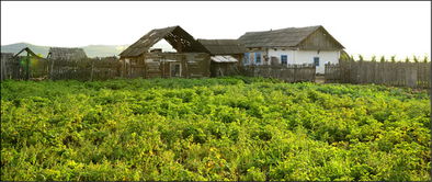 呼和浩特周边农户组成合作社