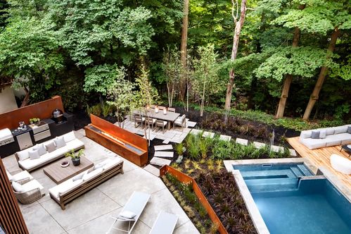 禅意花园中的枫树魅力