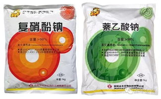 柑橘膨大使用哪种植物生长调节剂效果最佳？青提葡萄保果膨大配方推荐？