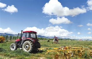 种草亩产蕞高揭秘，实测三大高产品种，亩省2000元？