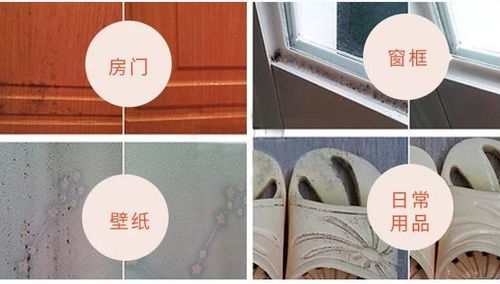 第一步：霉斑刷刷刷， 酒精抹抹抹