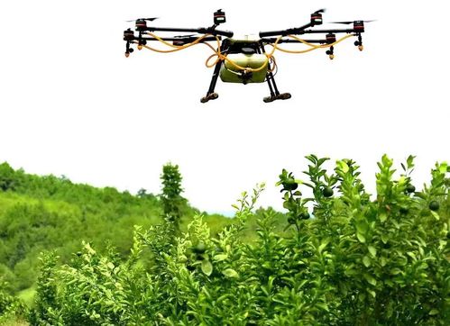 农业养殖新纪元：创新驱动