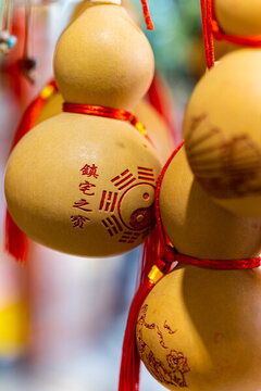 葫芦寓意吉祥，小葫芦爆款花卉，招财进宝，福运连连。