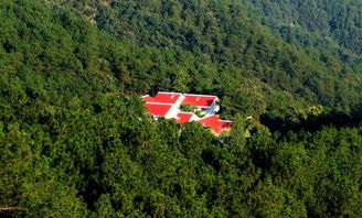 绿意盎然的未来 我们的行动之道