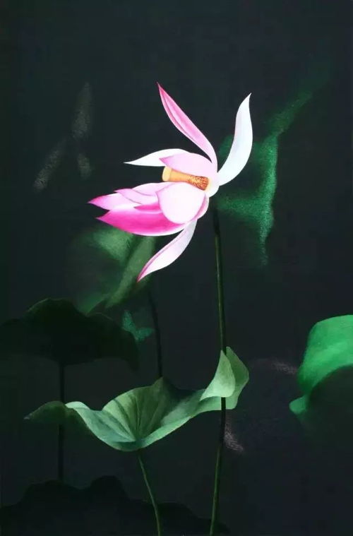 松叶似针尖，这针尖藏着什么秘密