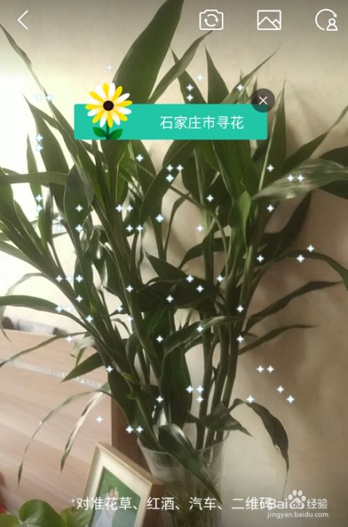 拍照识草， 轻松上手