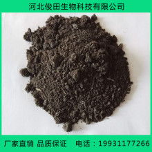菊花：淡雅清新