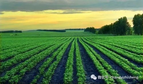 河南金满地农业科技有限公司：专注农化， 以农为需