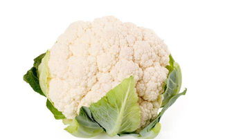 种植花菜：产量高品质好的秘密武器