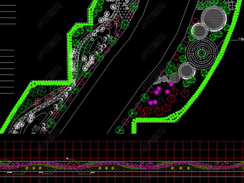小型花坛设计，植物搭配大揭秘！
