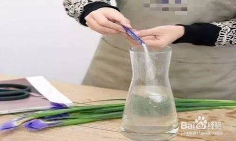 洗洁精真的嫩延长鲜切玫瑰花保鲜时间至7天吗？