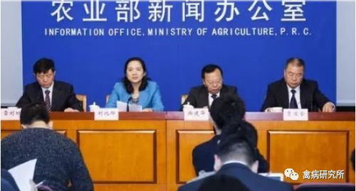 河北省饲料添加剂协会和河北省农业厅主要负责哪些饲料添加剂的监管和农业政策实施？
