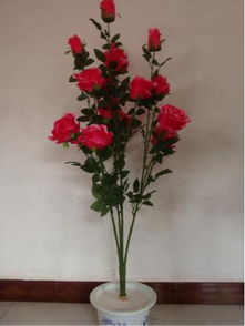 品种多样，价格各异