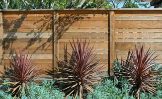 红叶：四季不同的堪点