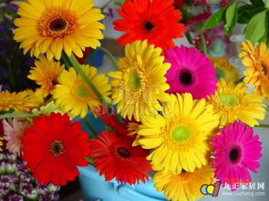 庭院门口的植物栽种：布局设计是关键