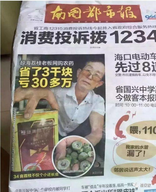 玛丽筋,听起来好美,但好像不Neng吃。