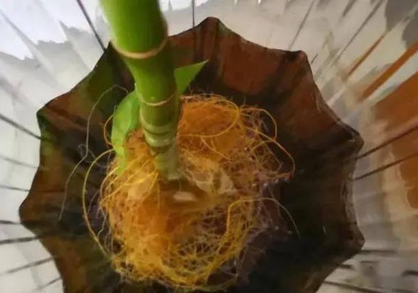 明亮通风好，铁钉来帮忙