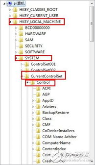 木材扫描识别技术， 揭秘它如何大显神通