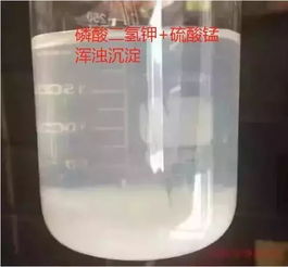 问：为什么说明书写的500倍，专家却说600倍？