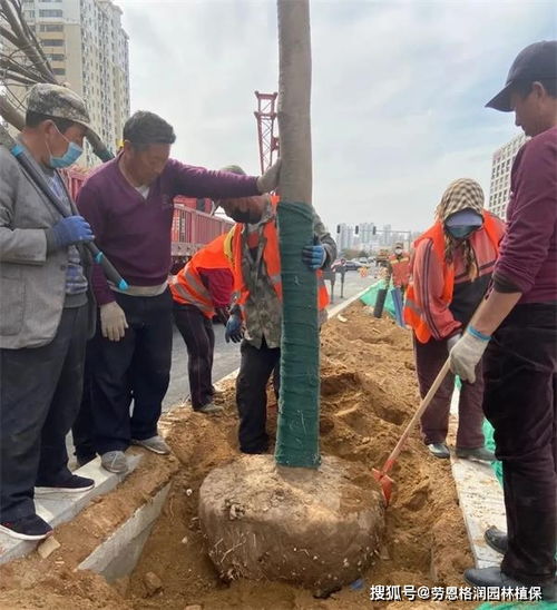 耐寒程度要了解