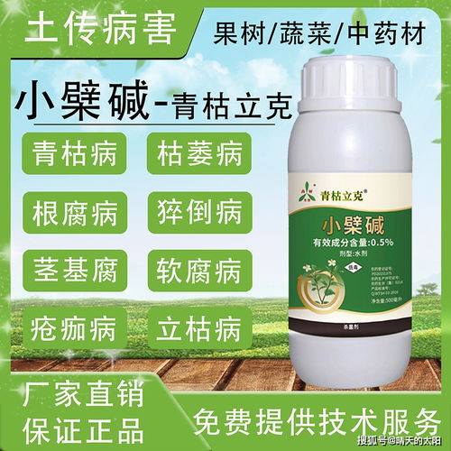 百菌清灌根青梅树，浓度揭秘啦！