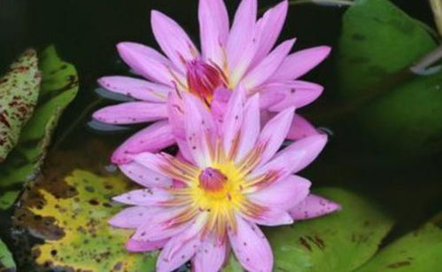 施肥的量得控制