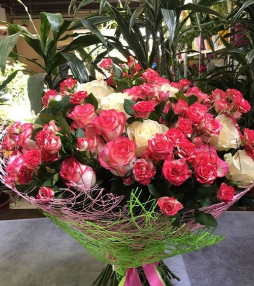 介质或土壤准备：土壤的选择