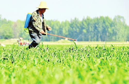 特效农药：拯救农作物的英雄