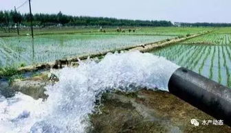 井水还是河水？到底哪个geng适合？