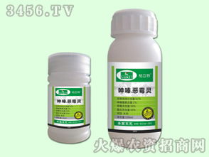 中药材：白绢病+叶斑病综合防治