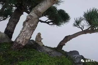 水质革命，记录是关键