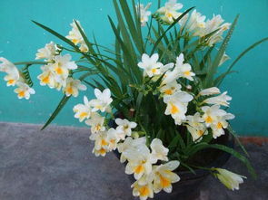 特殊场景搭配方案