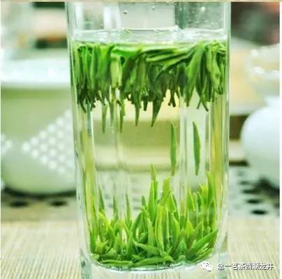 雀舌金坛茶价格一览：出水芙蓉茶叶盒装特价！