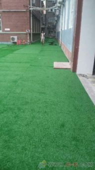 夏季晒， 冬季冷，庭院草种要混播