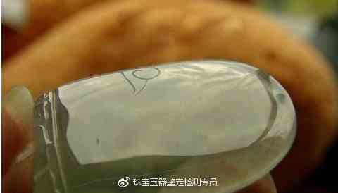 如何通过土法子辨别鱼粉真伪，避免购买到假货？
