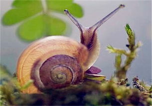 定期检查， 防范疾病