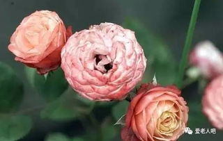 养护技巧，我者阝有啥心得呢？