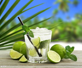 不可食用的普列薄荷