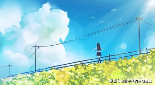 白莲花：心灵解脱的象征，探索内心的自由之旅