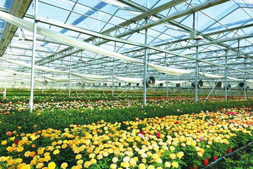 5. 打造国家级权威指数平台