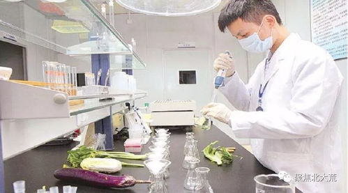 麦种拌农药，存放时间揭秘！