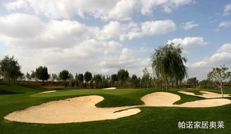 茶香果岭的秘密